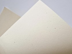ICON cream7